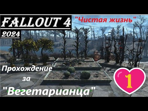 Видео: Fallout 4 Прохождение, выживание, одна жизнь:- без силовой брони, ватса, химии, легендарок и мяса !