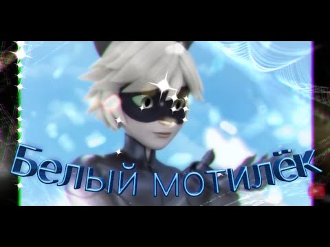 Видео: Заказной клип Леди баг и Супер кот на песню "Белый мотилёк"