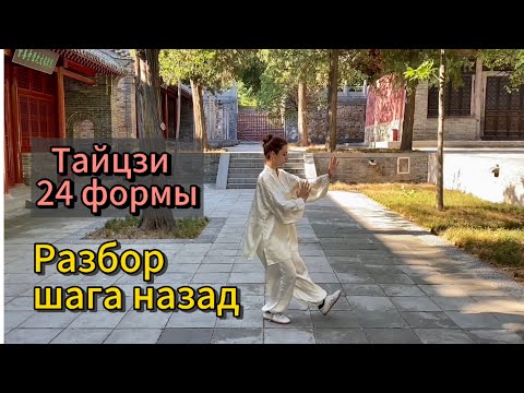 Видео: Шаг назад и отведение плеча слева и справа. Тайцзи 24 формы.