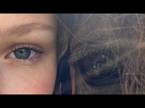 Видео: #56 Влог с конюшни! Едем в поля!