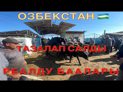 Видео: Мына САГА РЕАЛДУ БААЛАРЫ ОЗБЕКСТАН ТАЗАЛАДЫ БУГУН #мигрантар #кыргызстан #узбекистон #малбазар