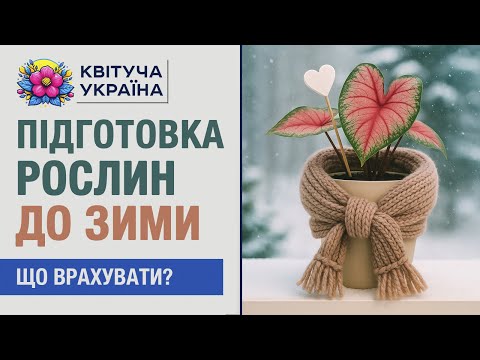 Видео: Підготовка рослин до зими ❄️ Повний гайд і поради з досвіду