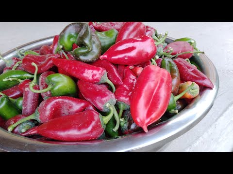 Видео: 23.10 2025 ЙИЛ