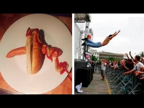 Видео: Интеллект - их слабое место