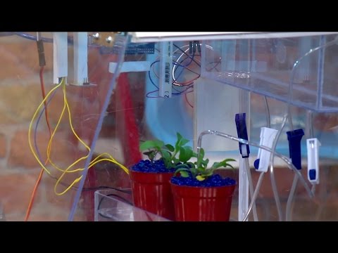 Видео: Гидропоника, гараж, чөнтөк тахометр / Ойлоп табуучулар / Чилистен / 13.04.17 / НТС