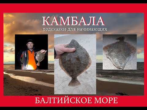 Видео: камбала. супер клев. Балтийское море