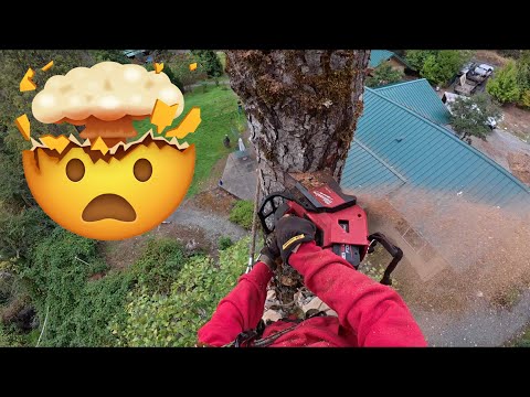 Видео: Аккумуляторная пила Milwaukee Humiliates Humiliations 550xp