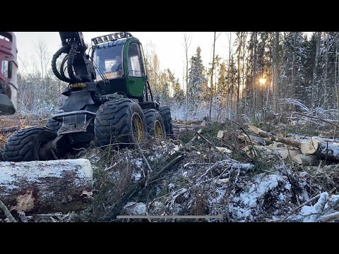 Видео: 27гектар бурелома ..ноябрь 2024