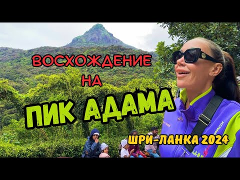 Видео: #3 САМАЯ ВЫСОКАЯ ТОЧКА ШРИ ЛАНКИ 🇱🇰 2024
