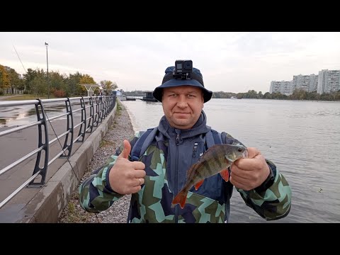 Видео: Street Fishing, река Москва, парк Печатники. 29.09.24.