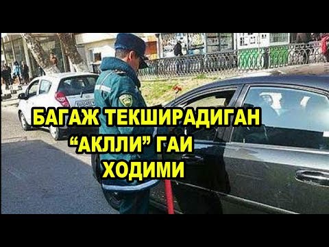 Видео: БАГАЖ ТЕКШИРАДИГАН "АҚЛЛИ" ГАИ ХОДИМИ