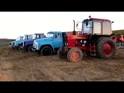 Видео: Фермер из Кайтагского района превращает заброшенные земли в процветающее хозяйство