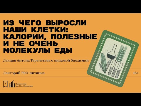Видео: «Из чего выросли наши клетки: калории, полезные и не очень молекулы еды». Лекция Антона Терентьева