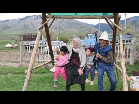 Видео: Чоң Кемин - Конок үйү - Бээнин сүтү менен даарылануу | Chong-Kemin, Kyrgyzstan - Guest House
