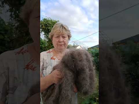 Видео: 4 сентября 2025 г.Пора утепляться..Пуховые платки ручной работы...Заказать 89921452392 ватсап