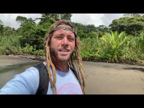 Видео: Жизнь экспата // 8 лет в прекрасной КОСТА-РИКЕ #puravida