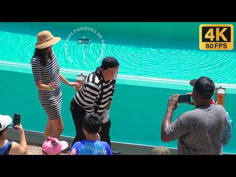 Видео: Шоу пантомимы Тома заставит вас смеяться без остановки!😂🤣 #tomthemime #seaworldmime #seaworldorlando