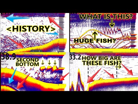 Видео: Эхолот для чайников! Всё о рыбопоиске для начинающих! Первые 6 уроков в одном месте.