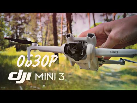 Видео: DJI Mini 3 - Обзор & сравнение с Mini 3 PRO! Что выбрать?