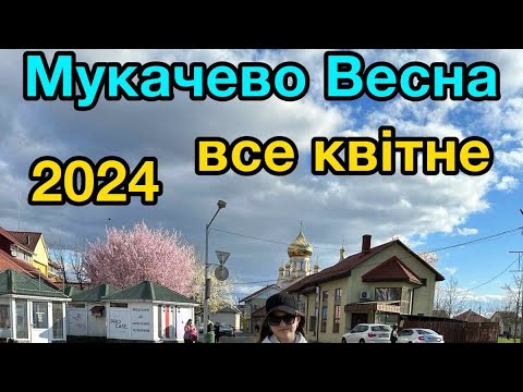 Видео: МУКАЧЕВО😍ЗАКАРПАТТЯ🇺🇦МІСТО КВІТНЕ🌺березень 2024💙💛