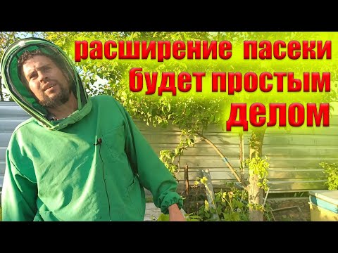 Видео: Это вам не расскажет не один опытный пчеловод. Быстрое расширение пасеки, отводками пчел
