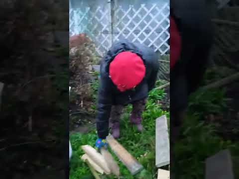 Видео: Наступила осень! Пора рассказать что случилось с нашим цветником... 😣🌱