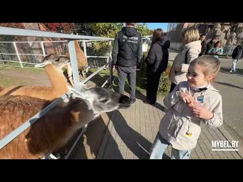 Видео: Зоопарк г.Минска. Обзор Некрашевич Дарьи