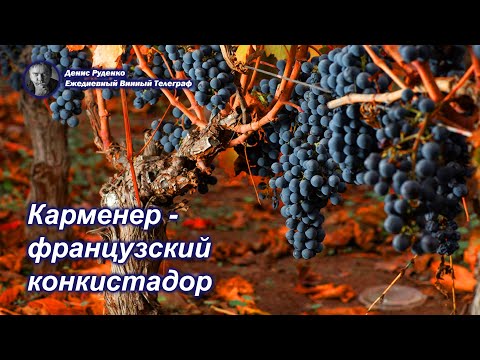 Видео: Карменер - французский конкистадор