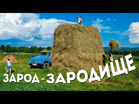 Видео: ЗАРОД ВЫДАЛСЯ НА СЛАВУ / ЗАГОТОВКА СЕНА ПРОДОЛЖАЕТСЯ / СЕНОКОС / ДЕРЕВЕНСКИЙ КОЛОРИТ