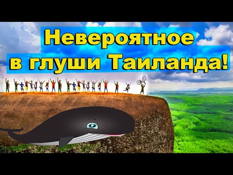 Видео: Невероятное в глуши Таиланда. Геочулки для трёх китов