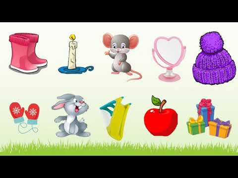 Видео: хэл яриа дунд бүлэг