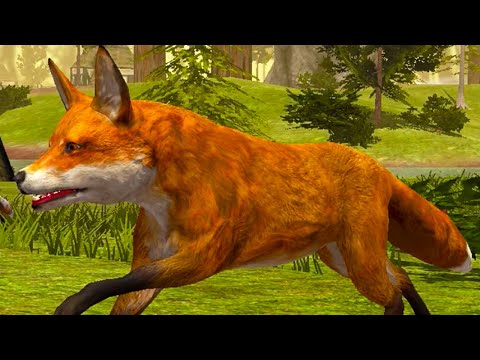 Видео: Симулятор Лисы #1 Кид против Босса и диких животных монстров в Ultimate Fox Simulator на пурумчата