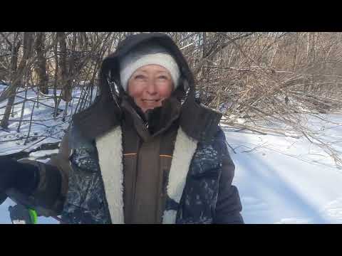 Видео: Рыбалка в лютый мороз. Маринкин день.