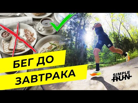 Видео: Есть или не есть? Мифы и правда о беге на голодный желудок