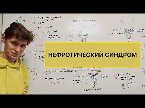 Видео: Нефротический синдром. Патогенез. Основные причины.