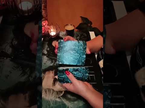 Видео: Чувства намерение действия 