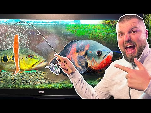 Видео: КОЙ СИЛИКОН REINS ще ХАРЕСАТ най-много рибите?