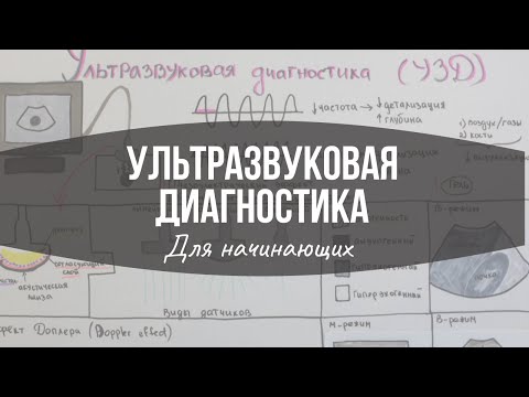 Видео: Ультразвуковая диагностика: Основы (для начинающих) / УЗД / УЗИ