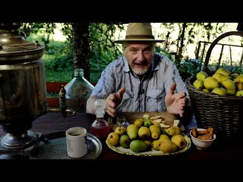 Видео: С.В. Савельев - Тайные успехи