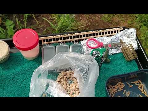 Видео: Рыбалка на пикер и мах.