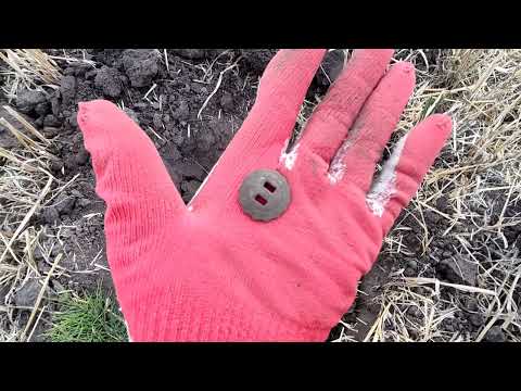 Видео: FROGMAN T90 и поле. Поиск монет на китайскую XTERRA 705