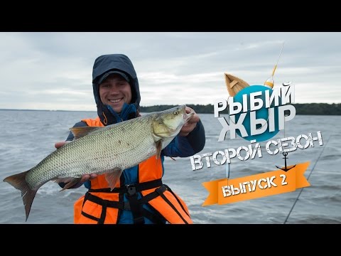 Видео: Ловля трофейного жереха на Волге. Рыбалка август 2015. Втрой сезон, 2 серия.