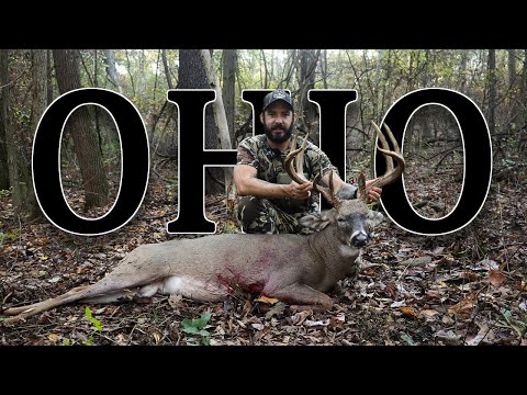Видео: 164-дюймовый олень из Огайо