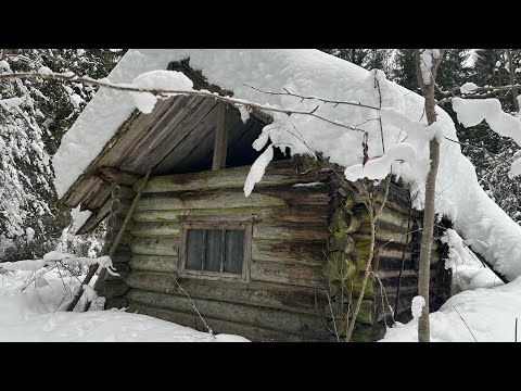 Видео: НАШЁЛ СТАРИННУЮ ИЗБУ И ОБАЛДЕЛ. ЭКСПЕДИЦИЯ ДАЛЕКО В ТАЙГУ