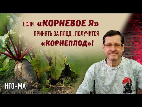 Видео: Если «корневое Я» принять за Плод, получится «корнеплод»!