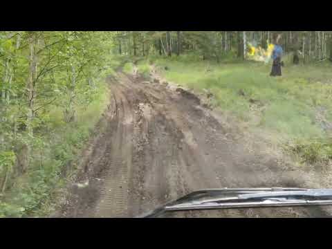 Видео: Volvo лесовоз. Буксуем на сухой земле
