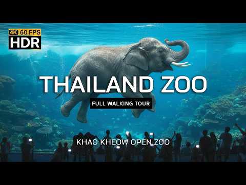 Видео: Удивительный зоопарк Таиланда 2025 | Открытый зоопарк Кхао Кхео | Полная пешеходная экскурсия