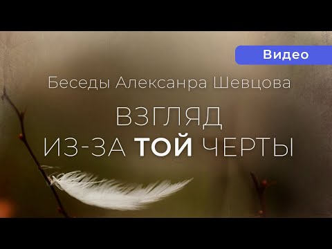 Видео: Взгляд из-за той черты. Фрагмент | Александр Шевцов