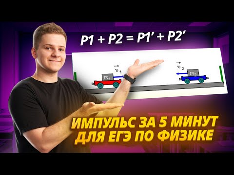 Видео: Импульс и закон сохранения импульса (ЗСИ) за 5 минут
