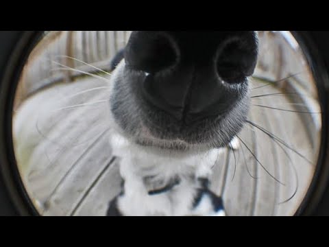 Видео: КТО О ВАС СОБИРАЕТ ИНФОРМАЦИЮ ⁉️